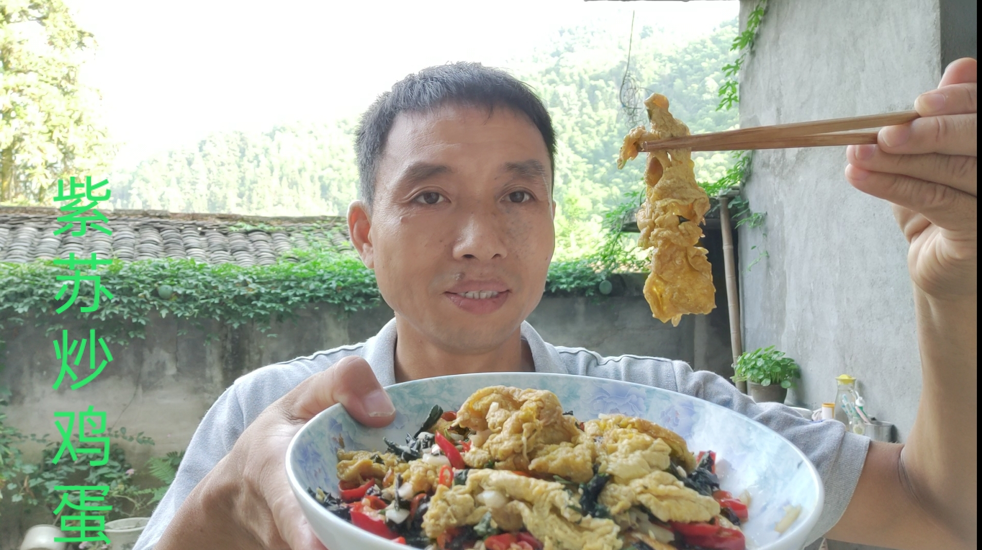 大叔摘新鲜的紫苏叶炒鸡蛋,做法简单,营养又美味,你们吃过吗