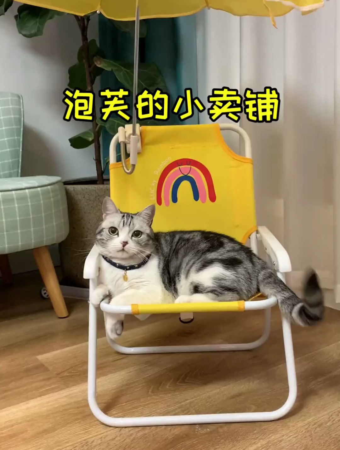 泡芙的小卖铺开张了 欢迎大家光临