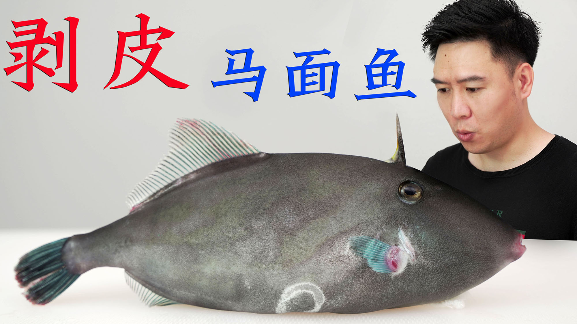剥皮鱼来了，85一斤的马面鱼，扒皮极度舒适，鱼肝跟果冻一样嫩滑