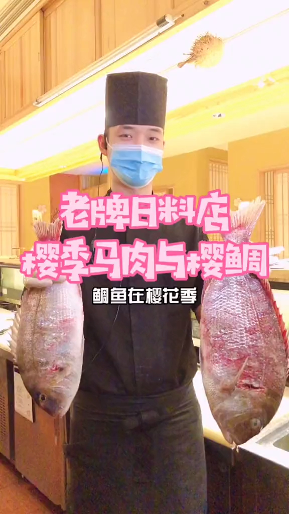 樱花季能吃到当季最嫩的鲷鱼和马肉刺身,是一种快乐