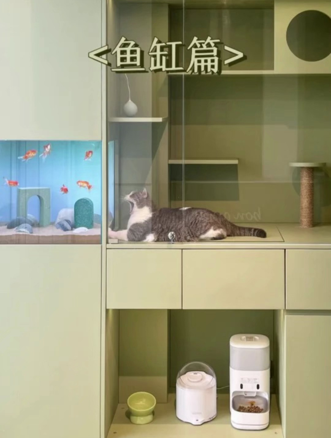 被问爆的鱼缸猫柜你们要的视频讲解来啦
