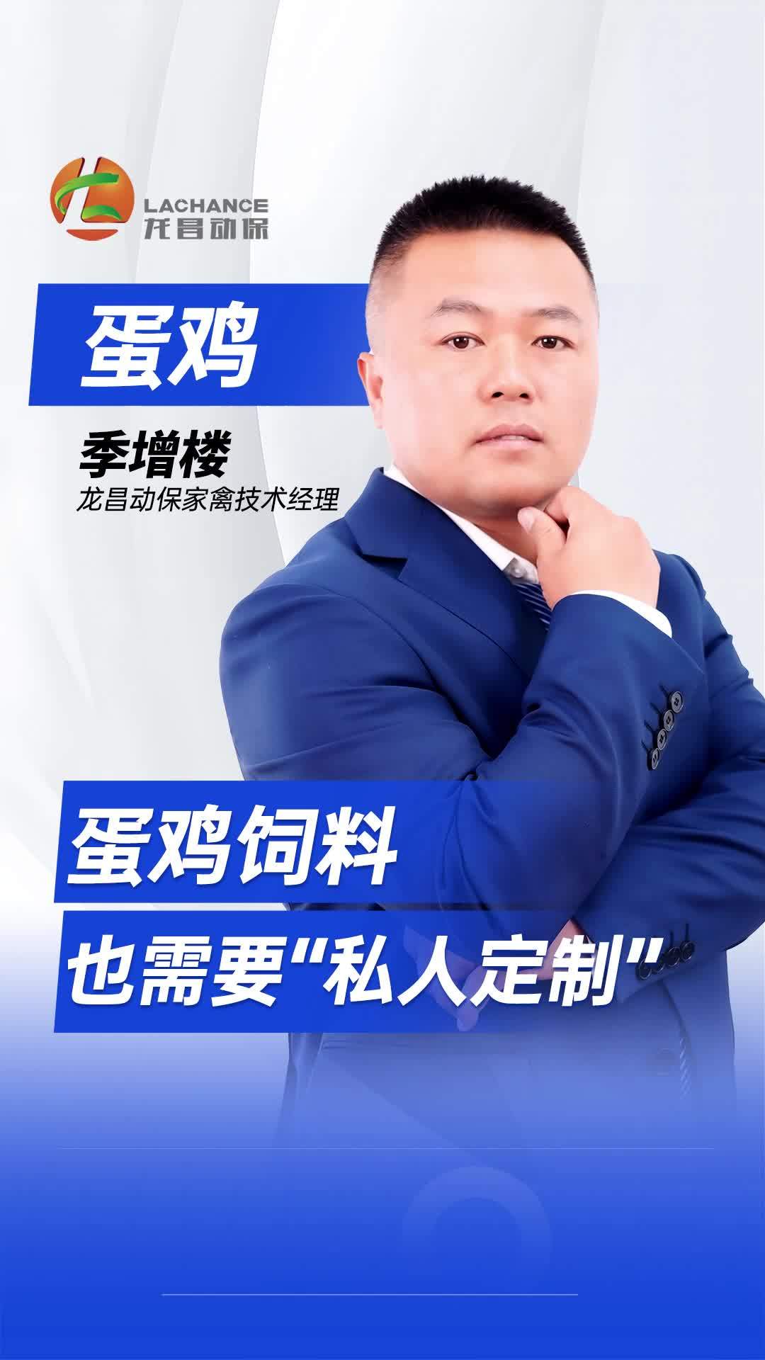 蛋鸡饲料营养,需要“私人定制”