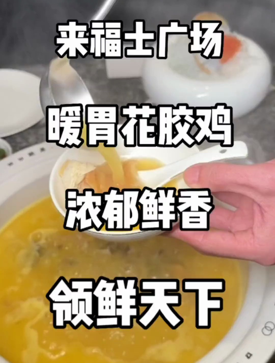 目前我吃过性价比很高的花胶鸡火锅 领鲜天下关键 超级适合约会
