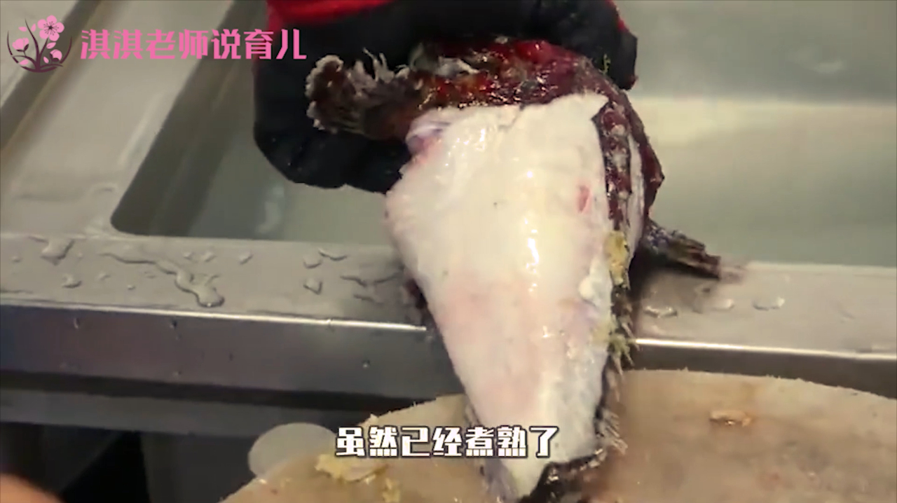 大厨现场烹饪世界上“最毒”的鱼,毒刺满身,杀鱼堪比外科手术