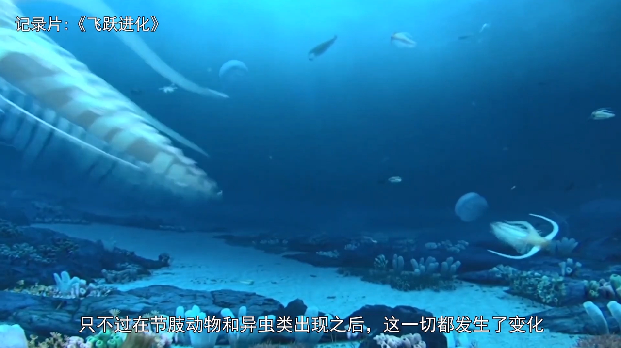 邓氏鱼有多强?恐龙之前还有哪些巨兽?盘点古生代的十个远古霸主