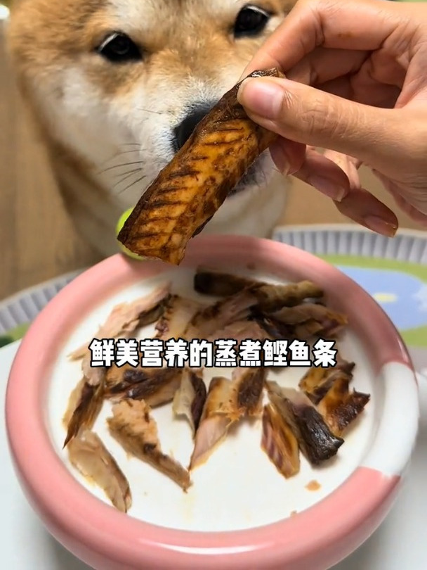 来自深海的鲣鱼条,富含鱼油多种营养,小猫小狗嘎嘎爱吃!