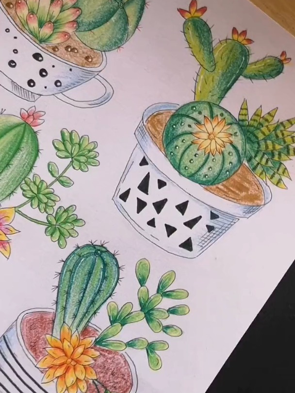 儿童画 线描 彩铅 多肉植物,感知生机,坚强不屈