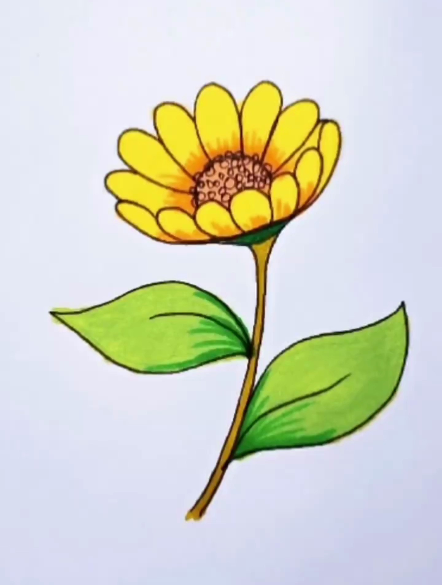 一看就会的立体花朵简笔画,赶快收藏起来吧!