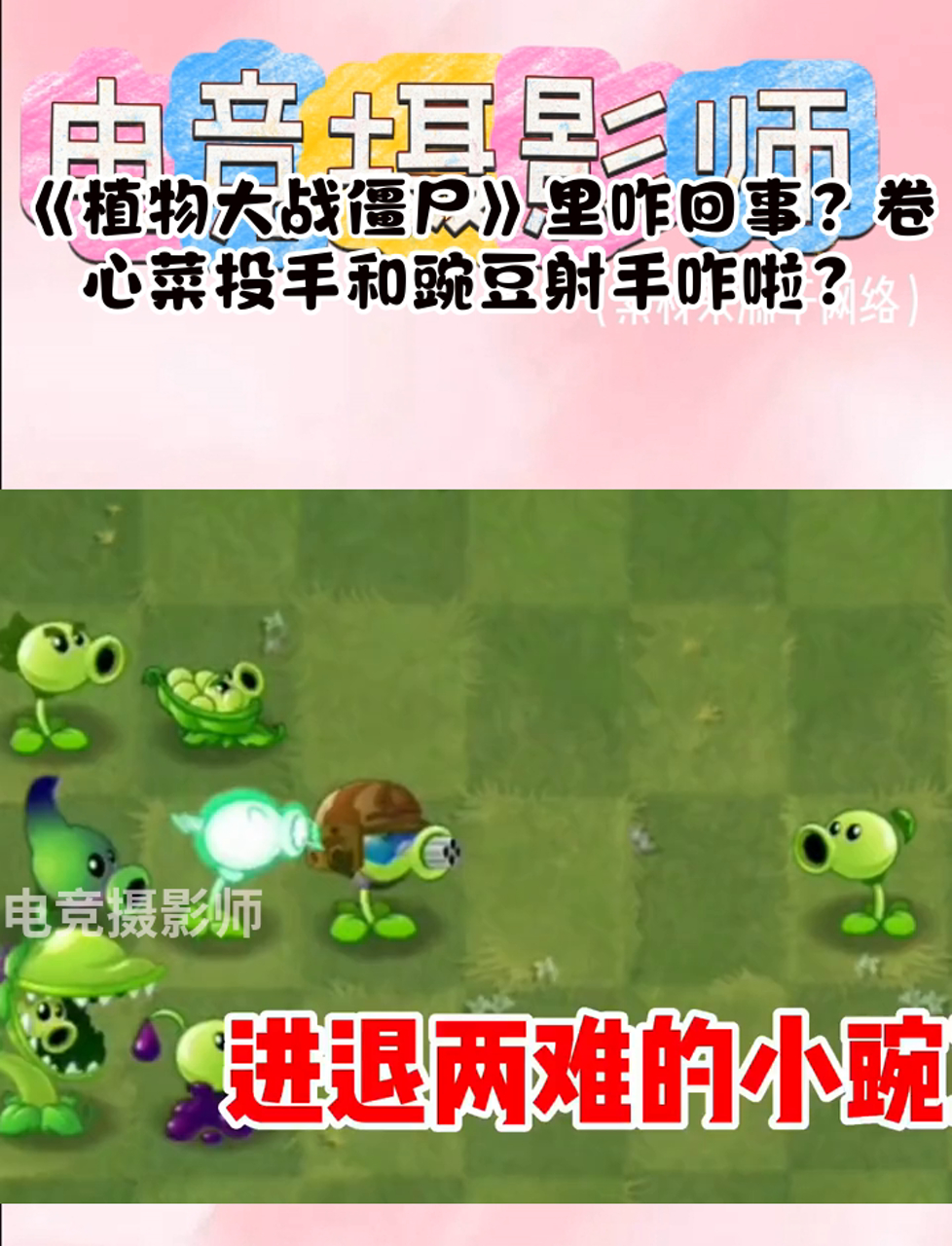 《植物大战僵尸》里咋回事?卷心菜投手和豌豆射手咋啦?