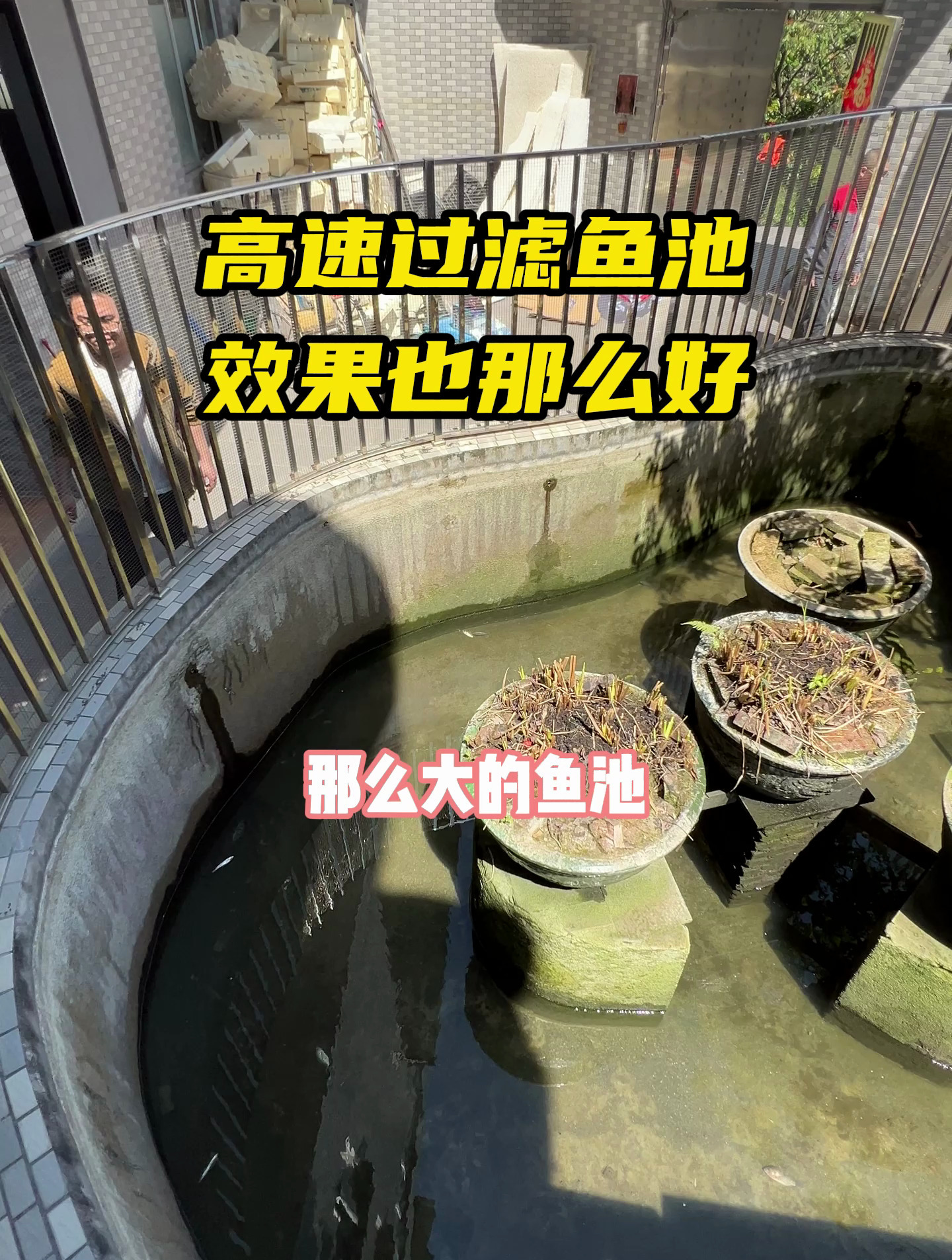 更简便的鱼池过滤设备,专为家用鱼池设计哦~ 锦鲤池过滤