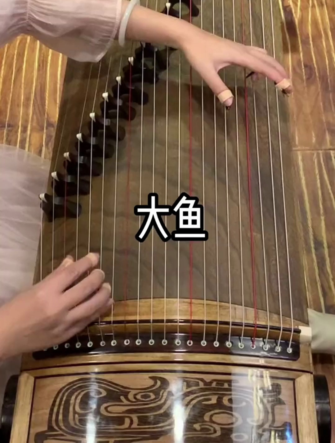 《大鱼》古筝 古筝流行歌曲 古筝演奏 东韵古筝