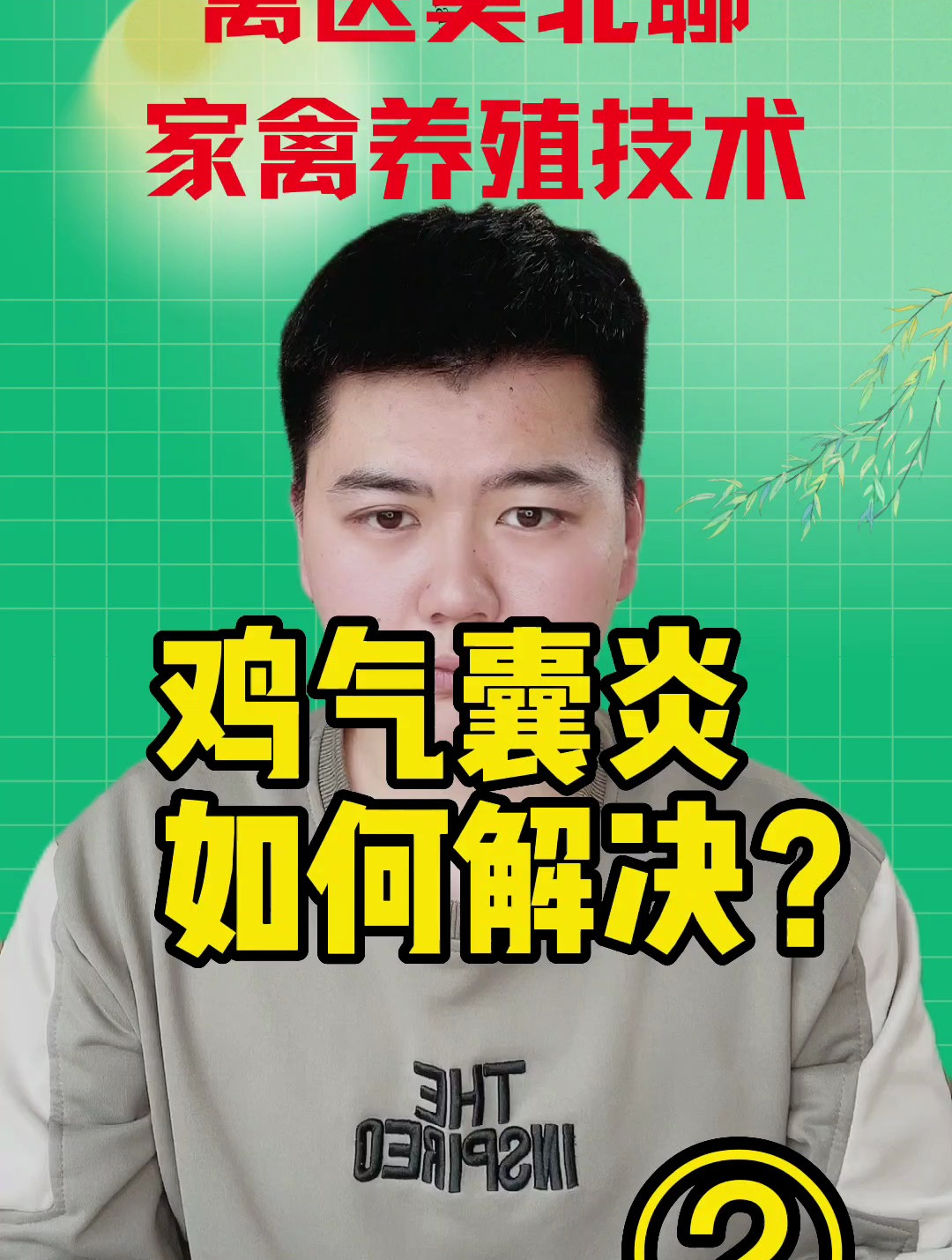 鸡气囊炎解决方案有哪些鸡气囊炎怎么办鸡气囊炎的解决方法