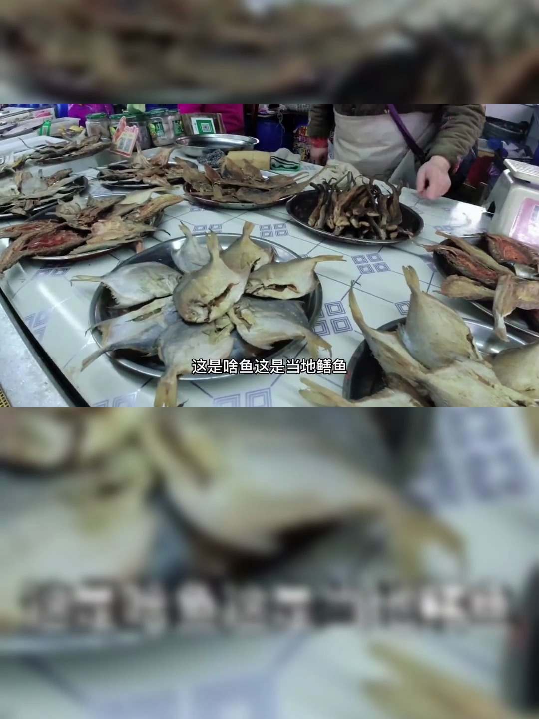 两人一车自驾大连海边鲜市场3