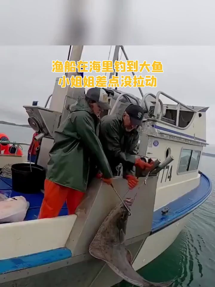 渔船在海里钓到大鱼 小姐姐差点没拉动
