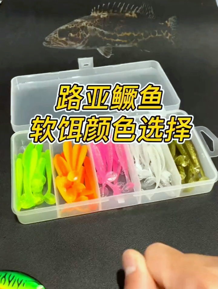 还不知道怎么选饵?路亚鳜鱼选什么颜色的饵?看完就知道!