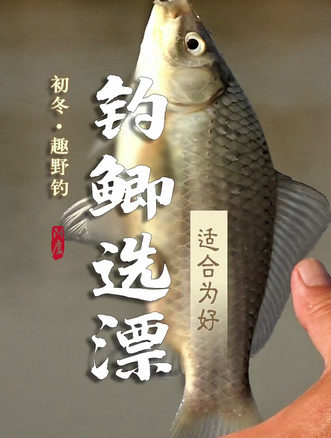 冬钓鲫鱼选漂适合为好