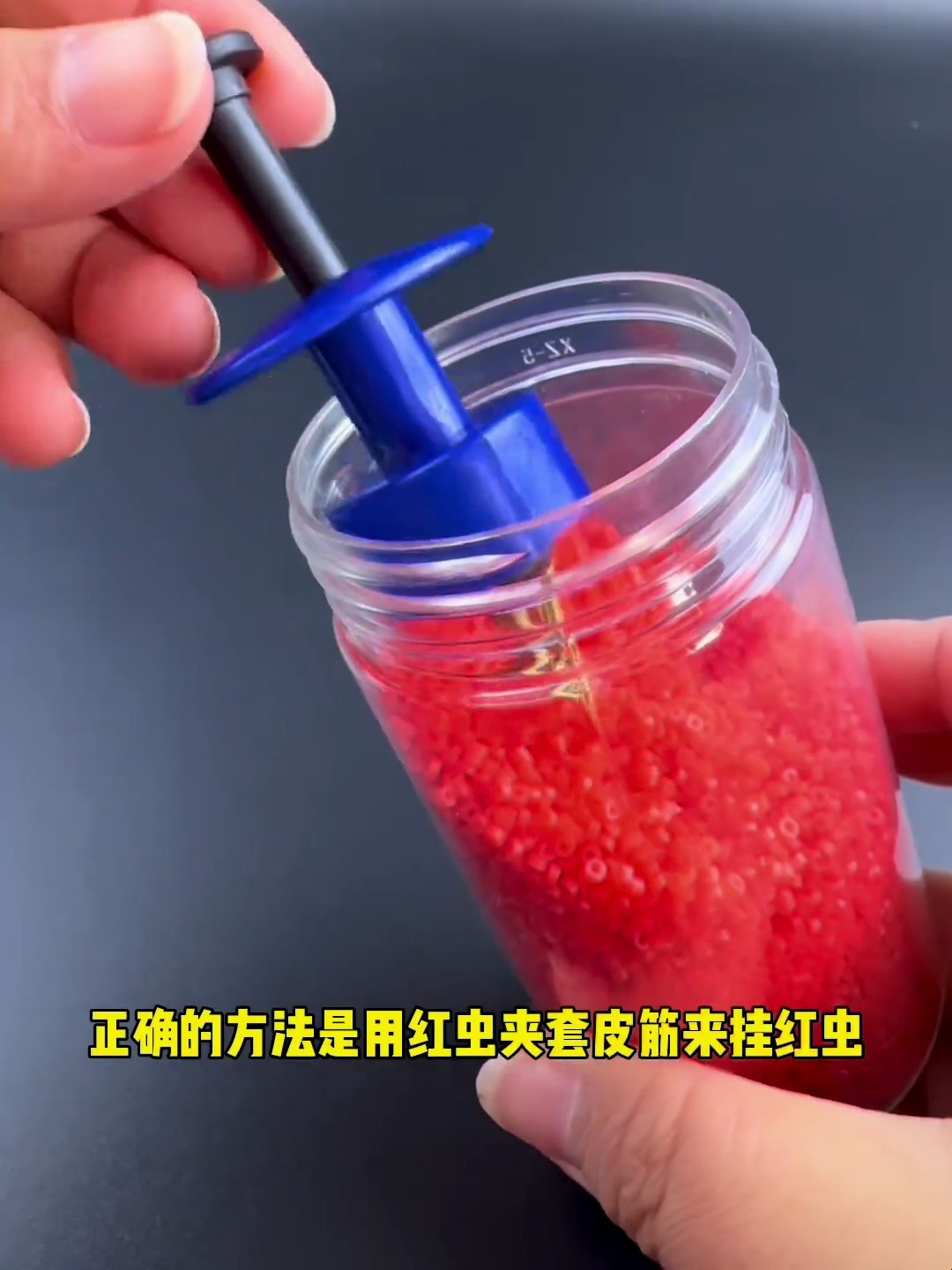 冬季野钓鲫鱼你是怎么挂红虫的?