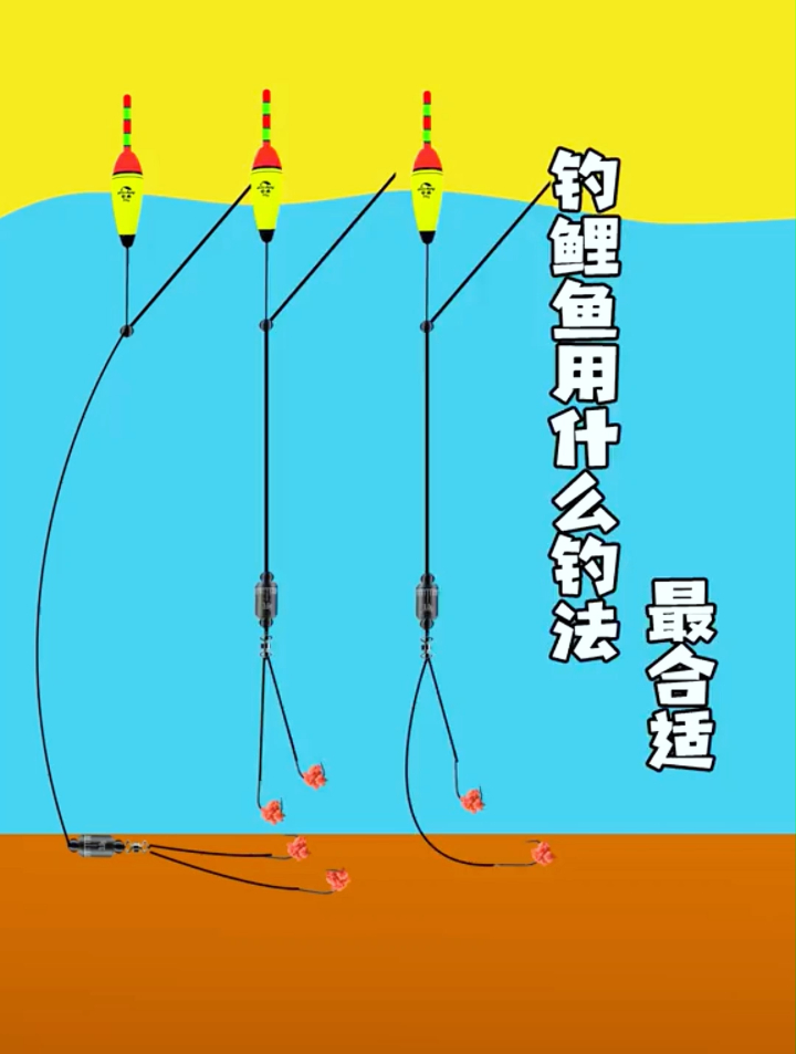 钓鲤鱼用什么钓法呢?用这个钓法不爆护也会鱼获满满,连竿拉过瘾