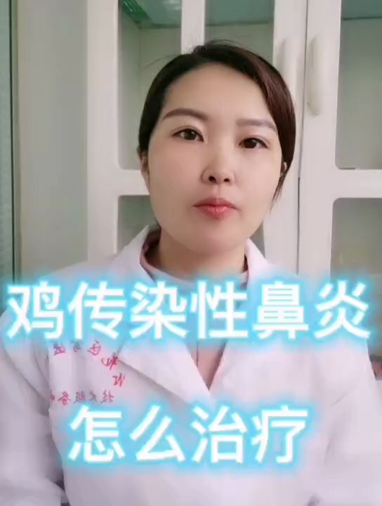 禽医静心谈鸡传染性鼻炎怎么治疗、鸡传染性鼻炎用什么药