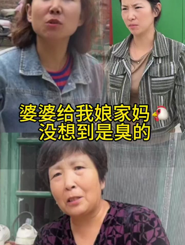 婆婆给我娘家的公鸡没想到是丑的