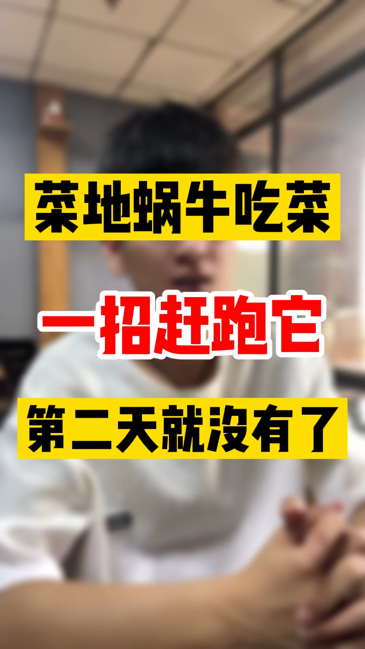 菜地里蜗牛吃菜,一招教你赶跑它,第二天蜗牛就会不见!