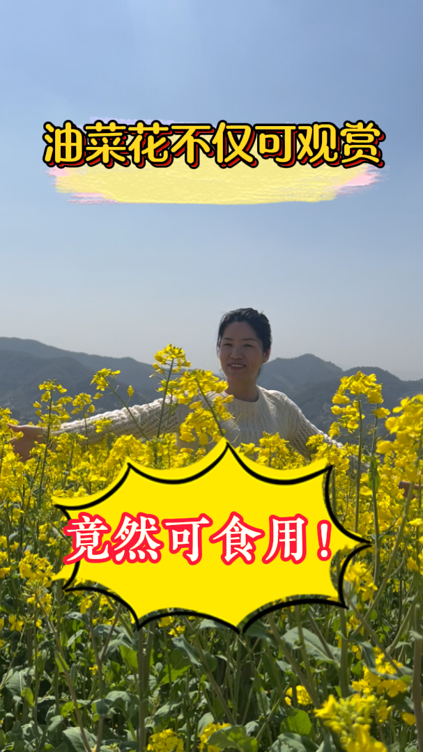 震惊!没想到油菜花除了好看,还有这么多好处……