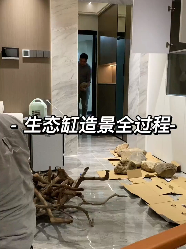 你们要的极简鱼缸柜造景全过程来啦,温馨的家需要一道靓丽的风景