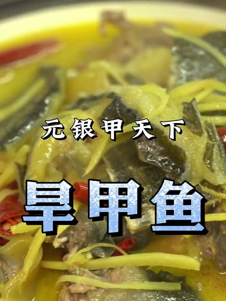 湖北味道:旱甲鱼,固始名菜旱鹅块的武汉版