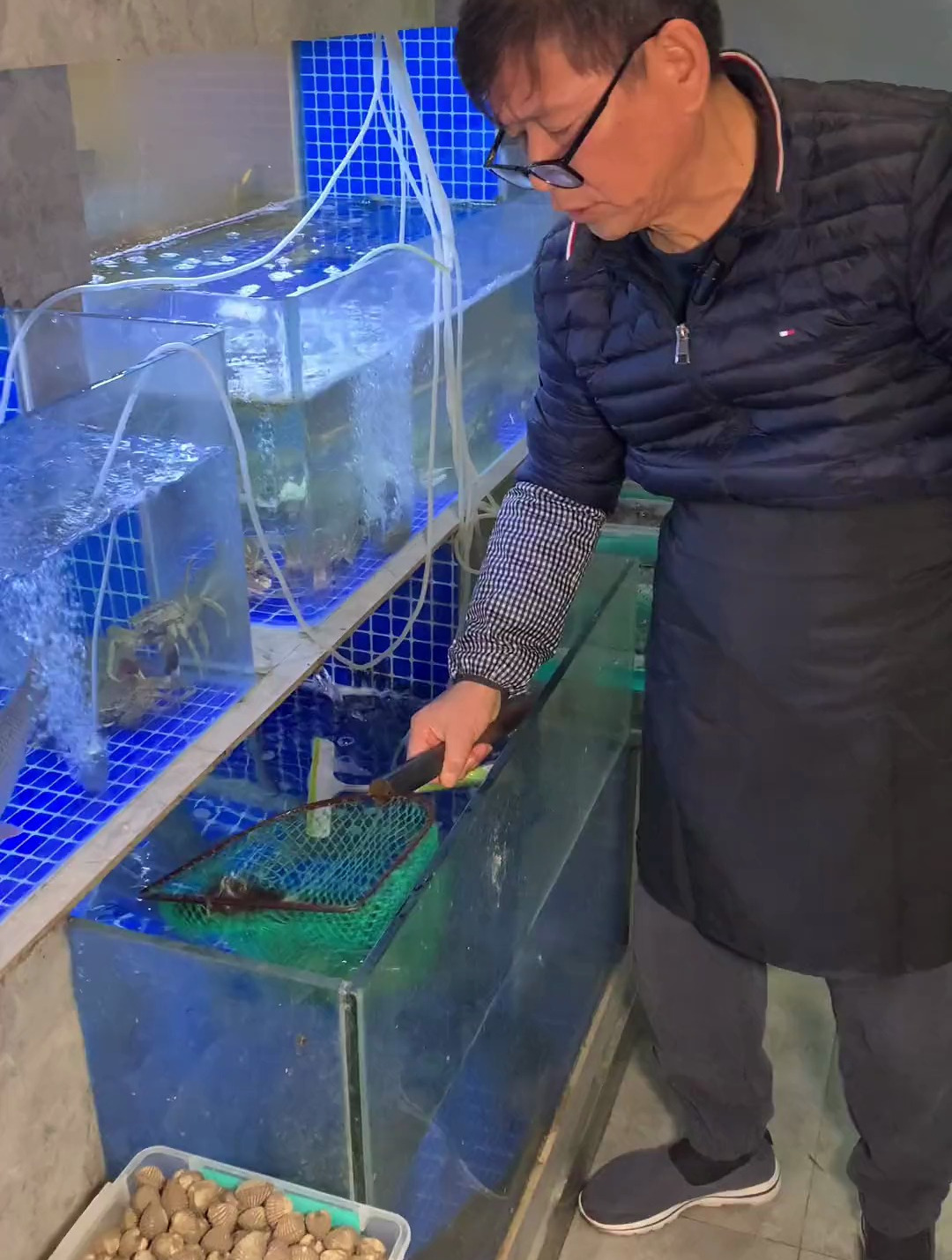野生黑鱼和养殖黑鱼的区别在哪儿
