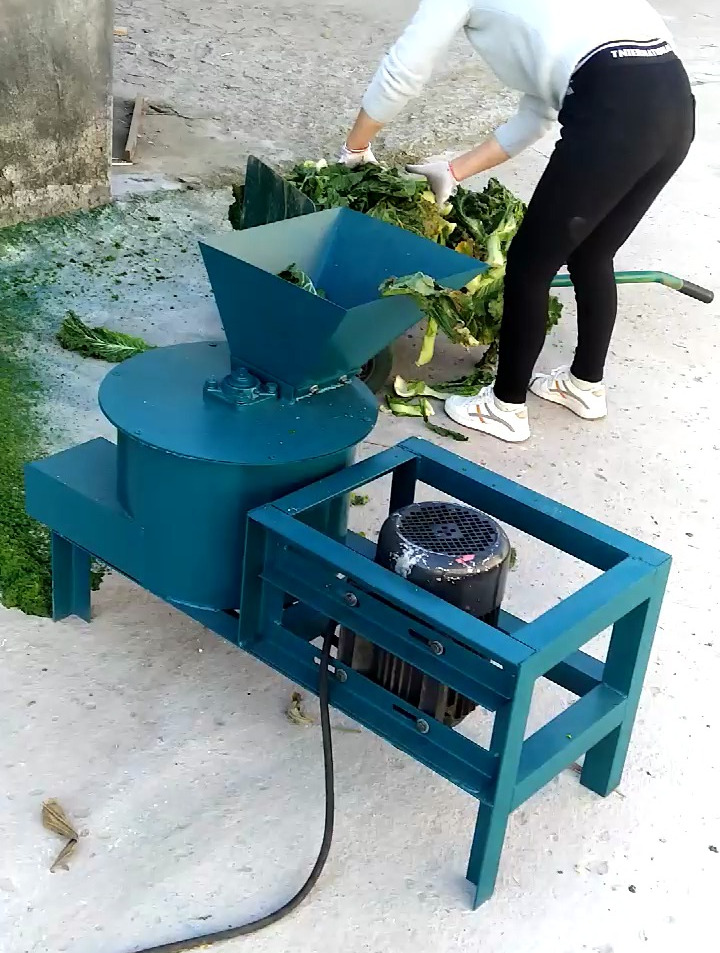 小型蔬菜打浆机 果蔬青饲料打浆机 家用电海带打浆机