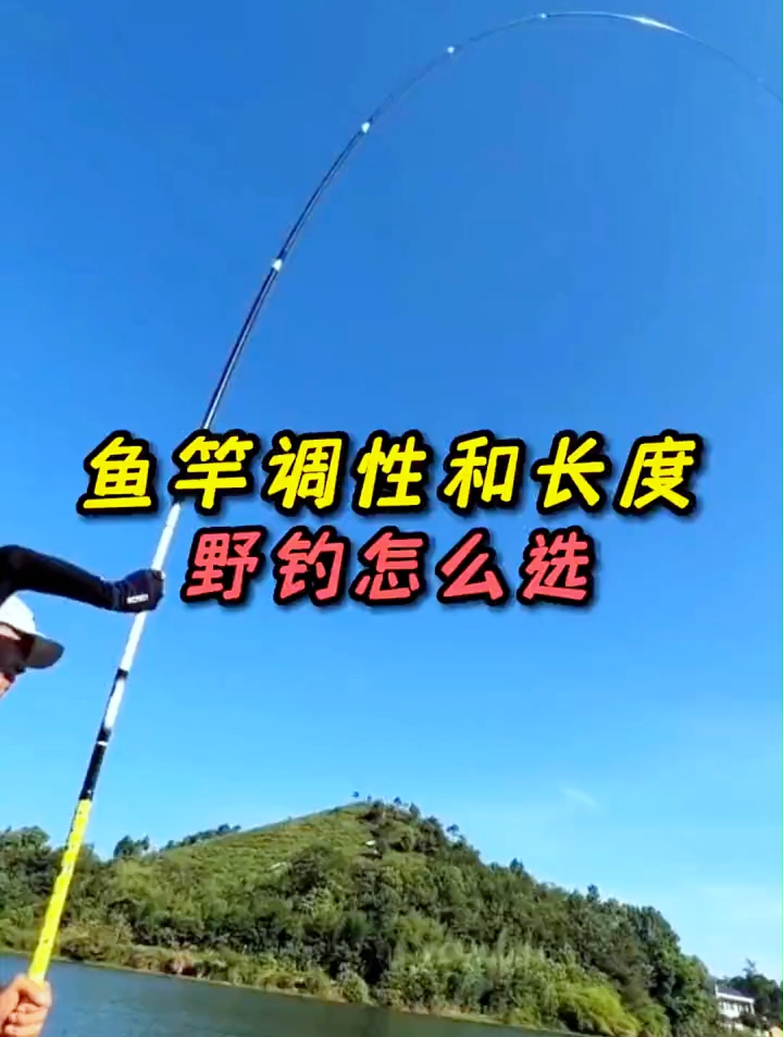 野钓鱼竿用什么调性?选多长的鱼竿合适?