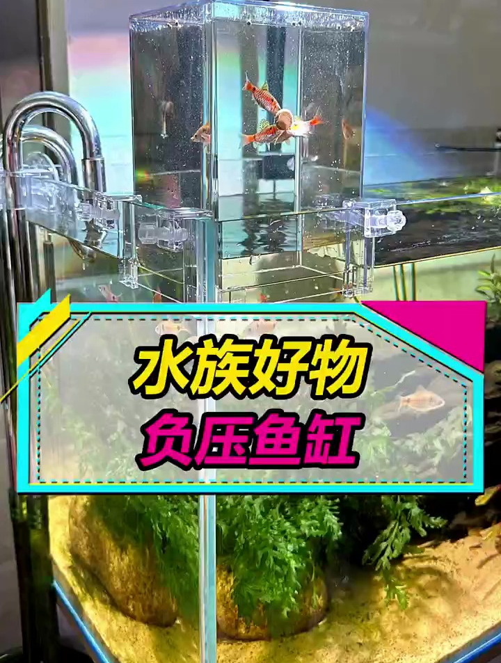 让鱼儿冲出鱼缸飞向天空,负压鱼缸,2种排气方法