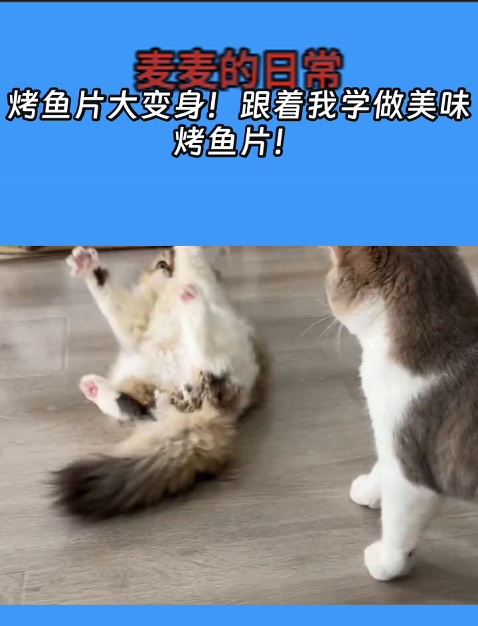 烤鱼片大变身!跟着我学做美味烤鱼片!