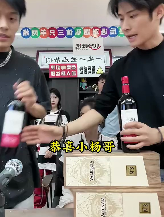 小杨哥把奥兰黎砗干红的价格打下来了 红酒 进口红酒 葡萄酒