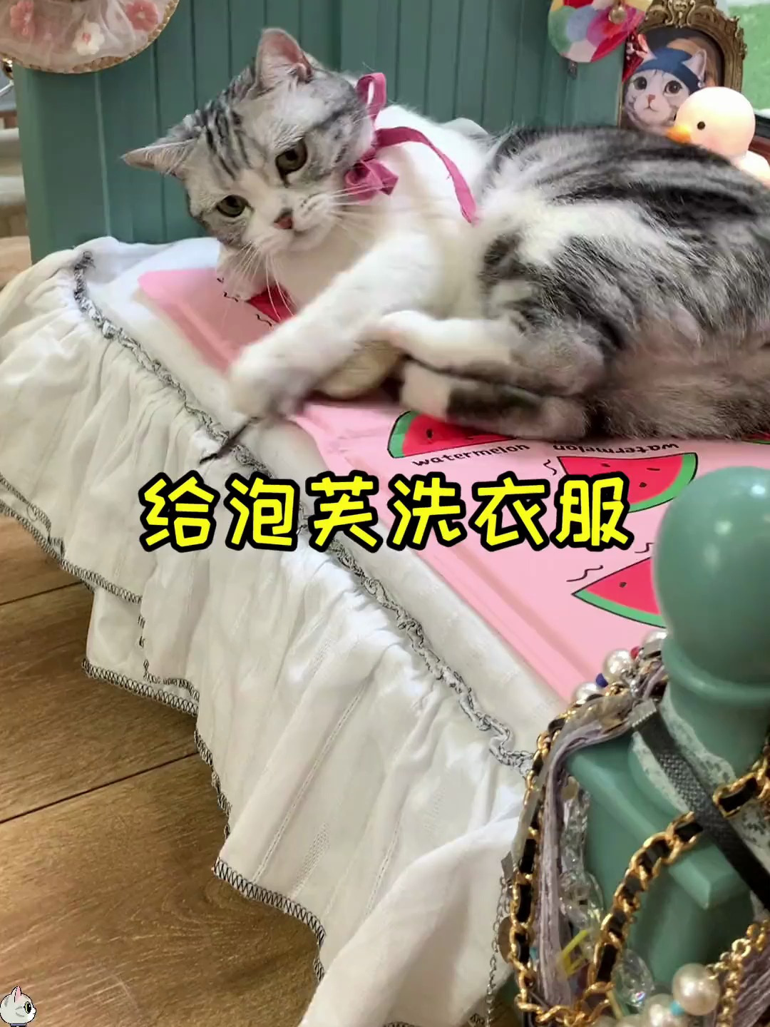 又是劳动的一天,泡芙变身王督查