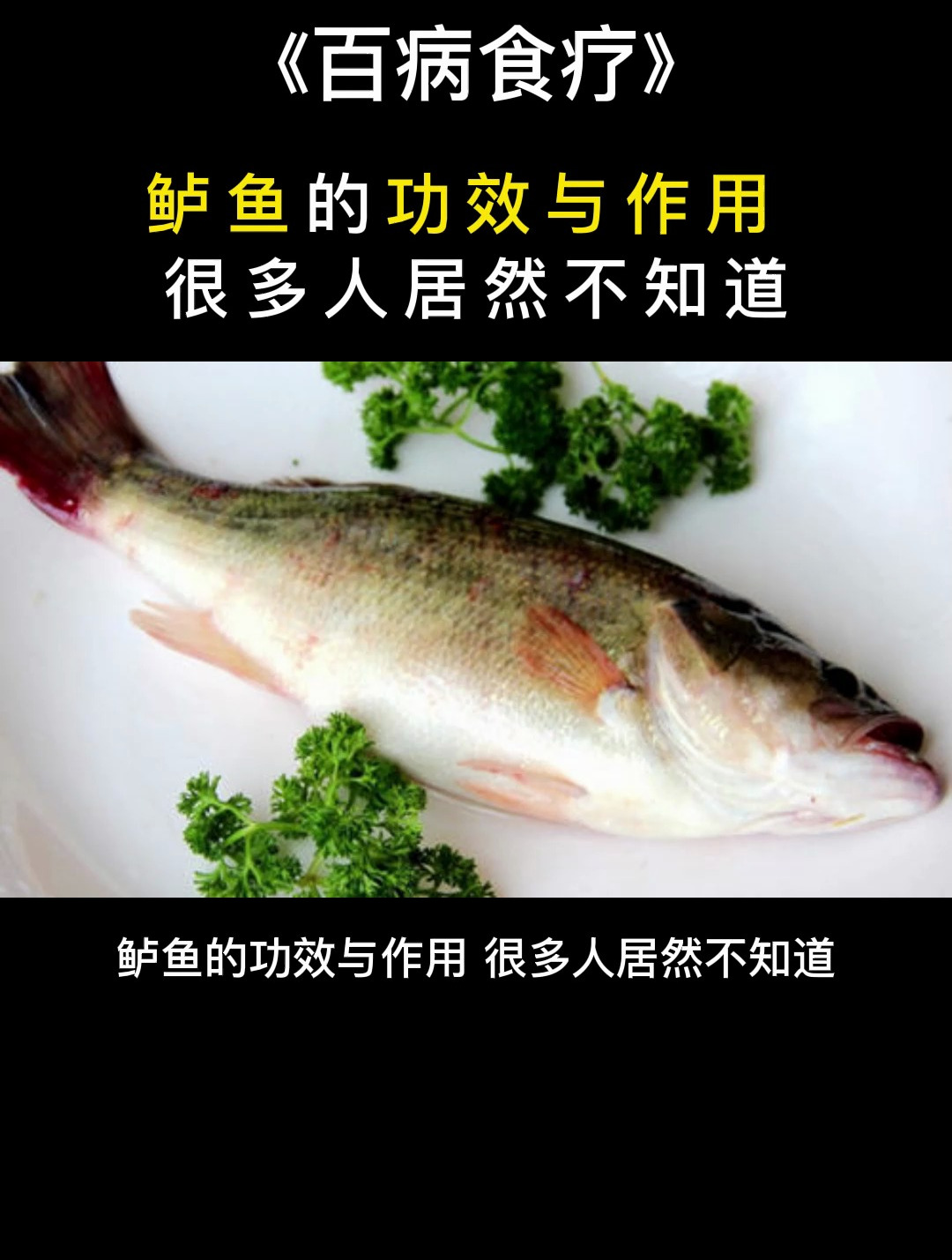 百病食疗:鲈鱼的功效与作用,很多人居然不知道