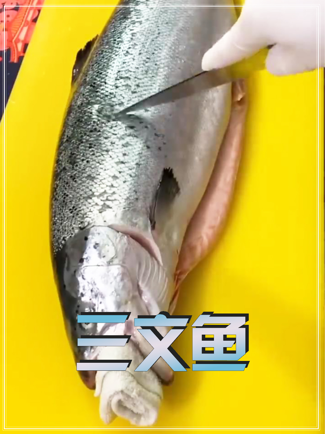 你喜欢吃三文鱼生鱼片吗?还是喜欢吃熟的?