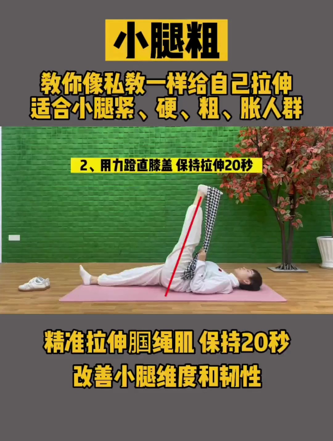 小腿粗肌肉多?拉伸帮你解决!