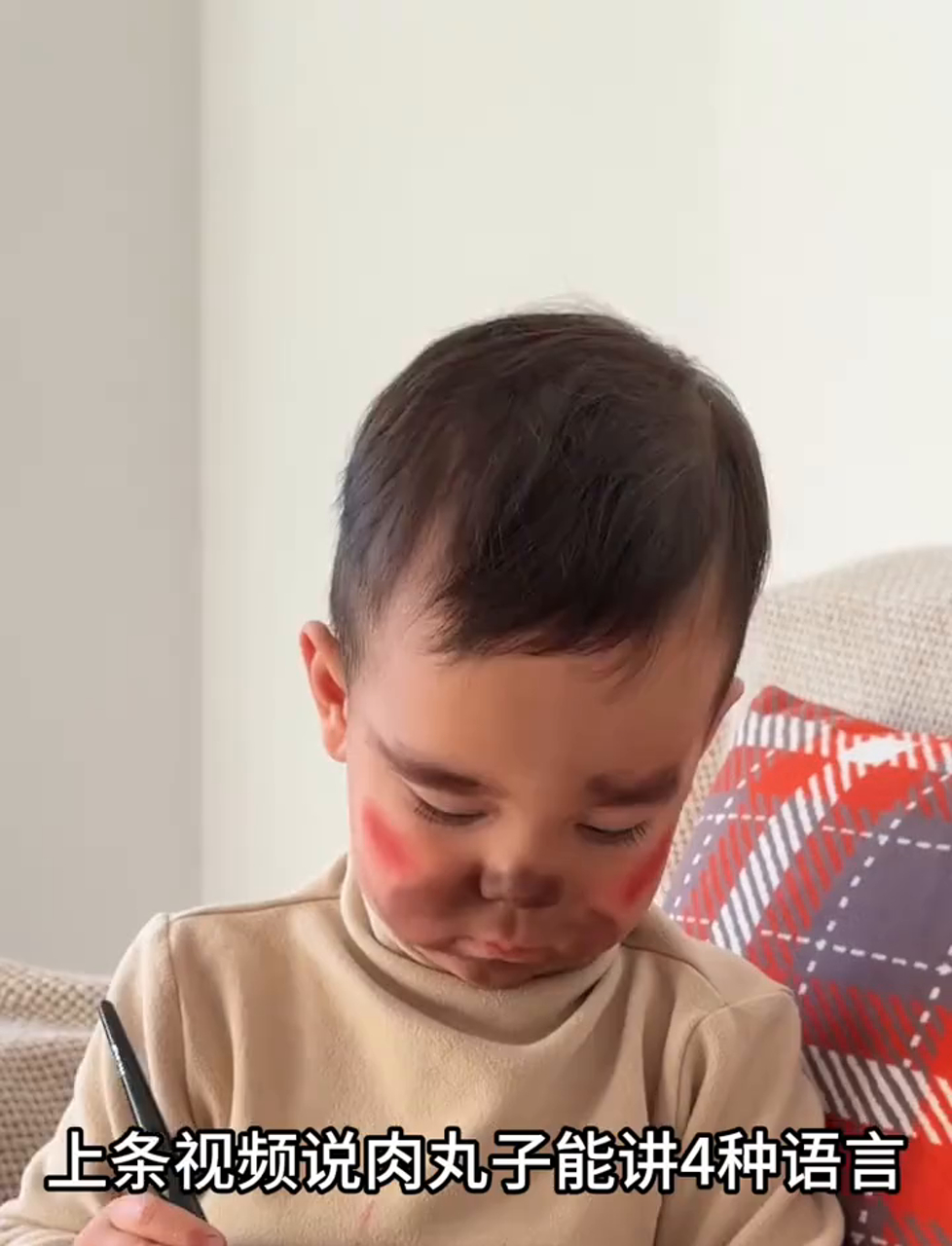 肉丸子的四种语言他是怎么区分的,以及两岁5个月肉丸子的实际语言水平