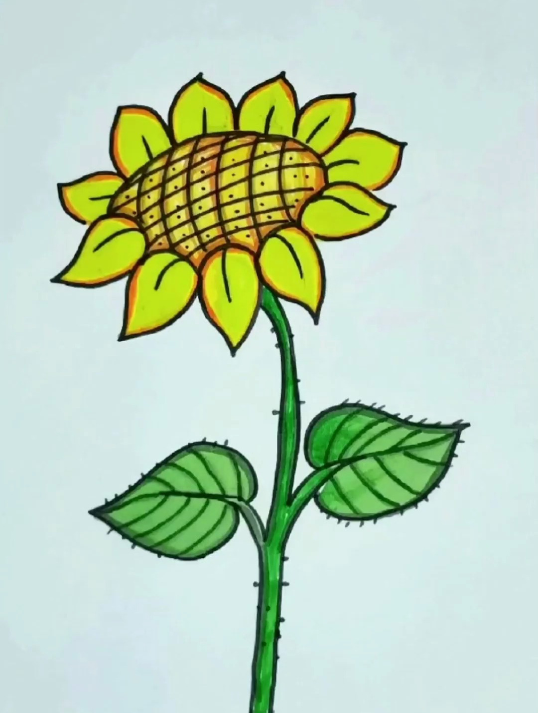 向日葵 简笔画 绘画教程