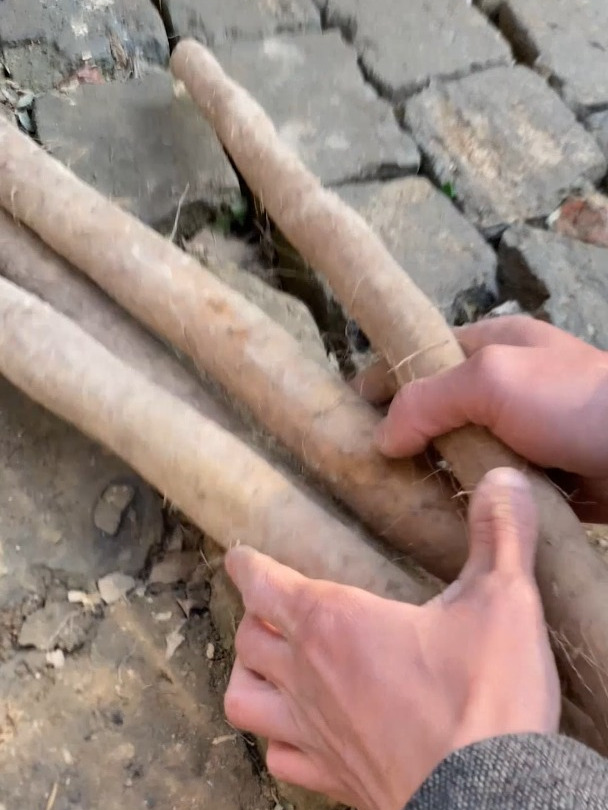 麸炒山药的步骤是什么?