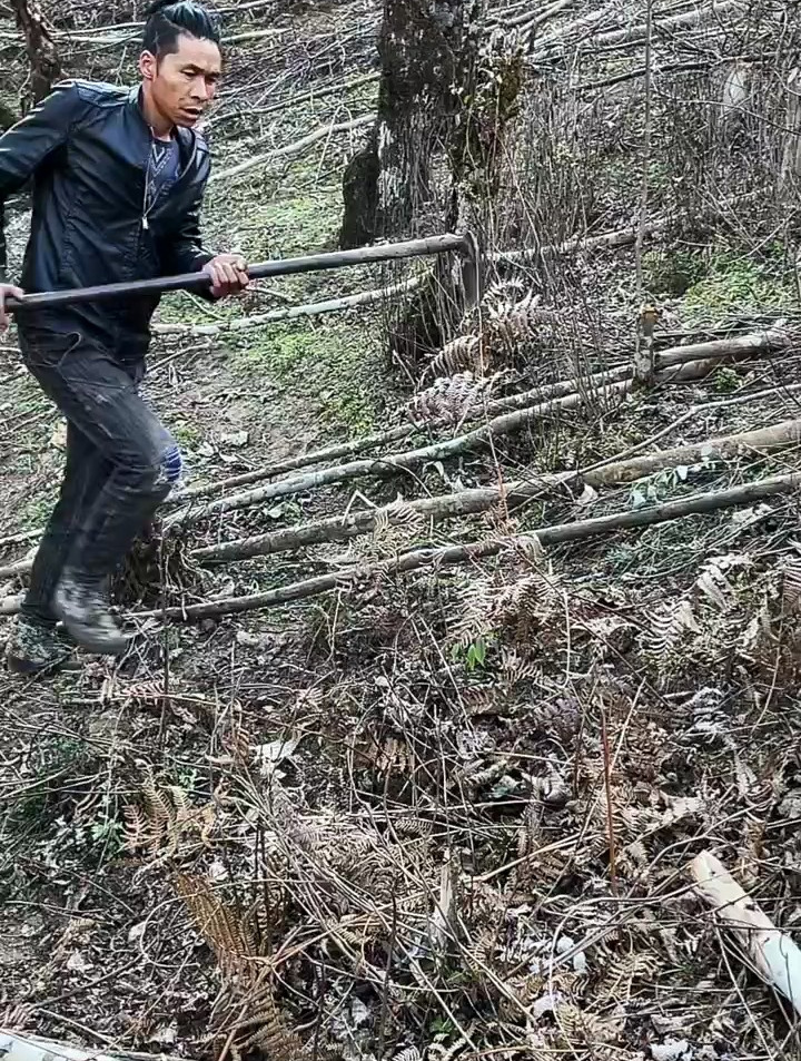 蕨菜根粉山里的美食有没有人吃过