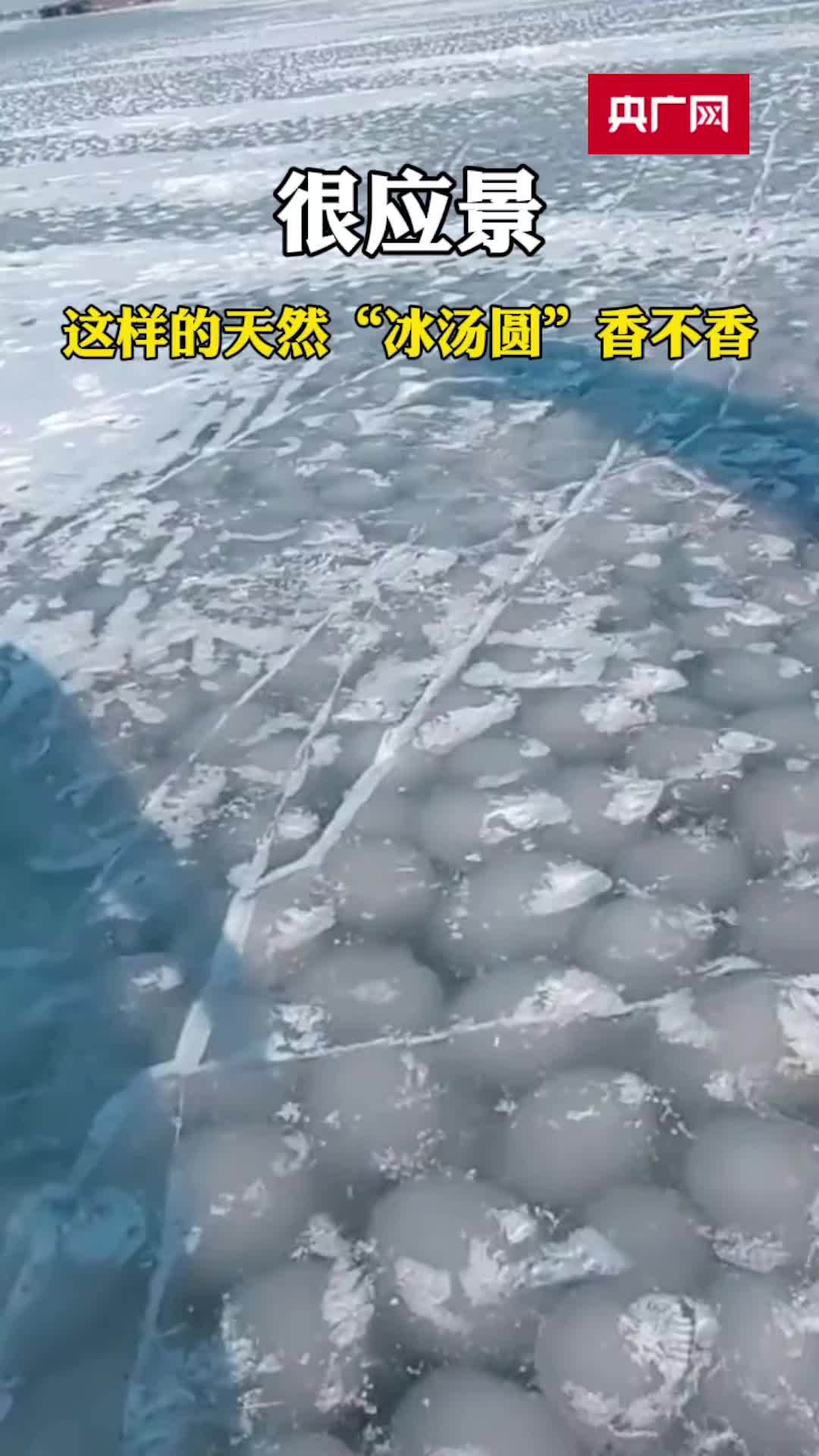 很应景!这样的天然“冰汤圆”香不香