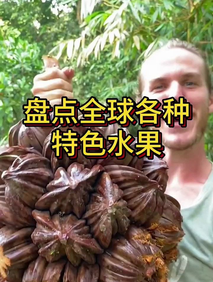 盘点全球各种特色水果,你都吃过没有长得像流星锤