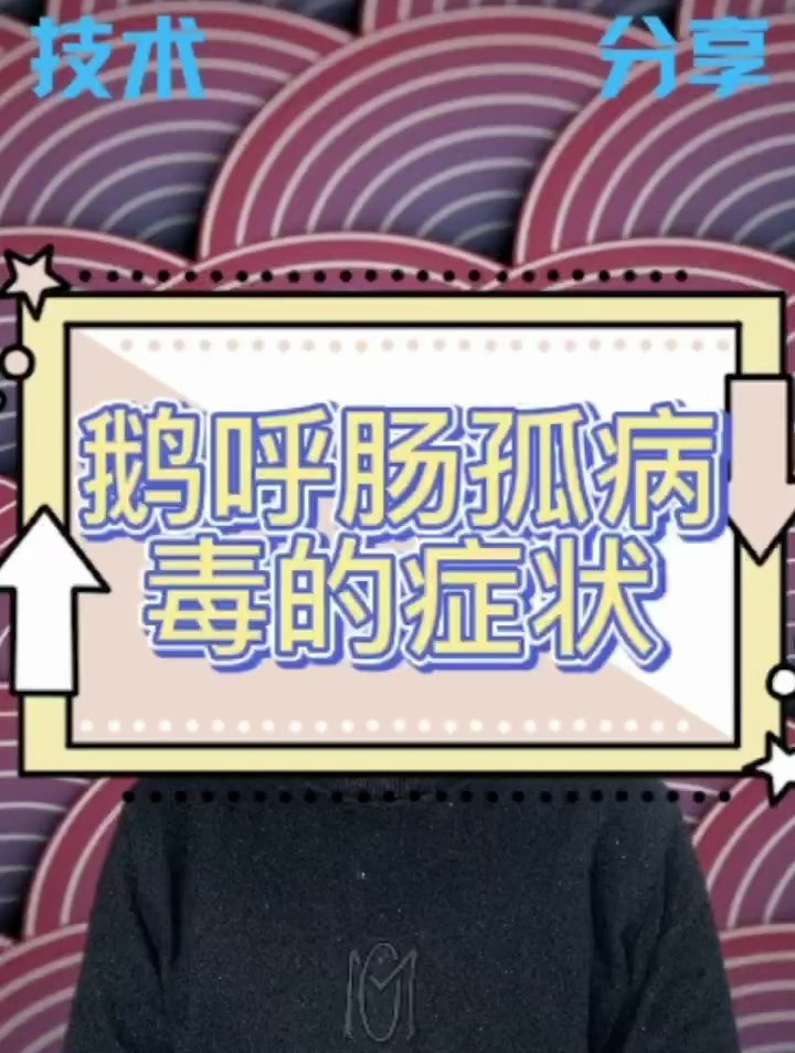 鹅呼肠孤病毒的症状 鹅呼肠孤病毒特效药 鹅呼肠孤病毒解剖症状