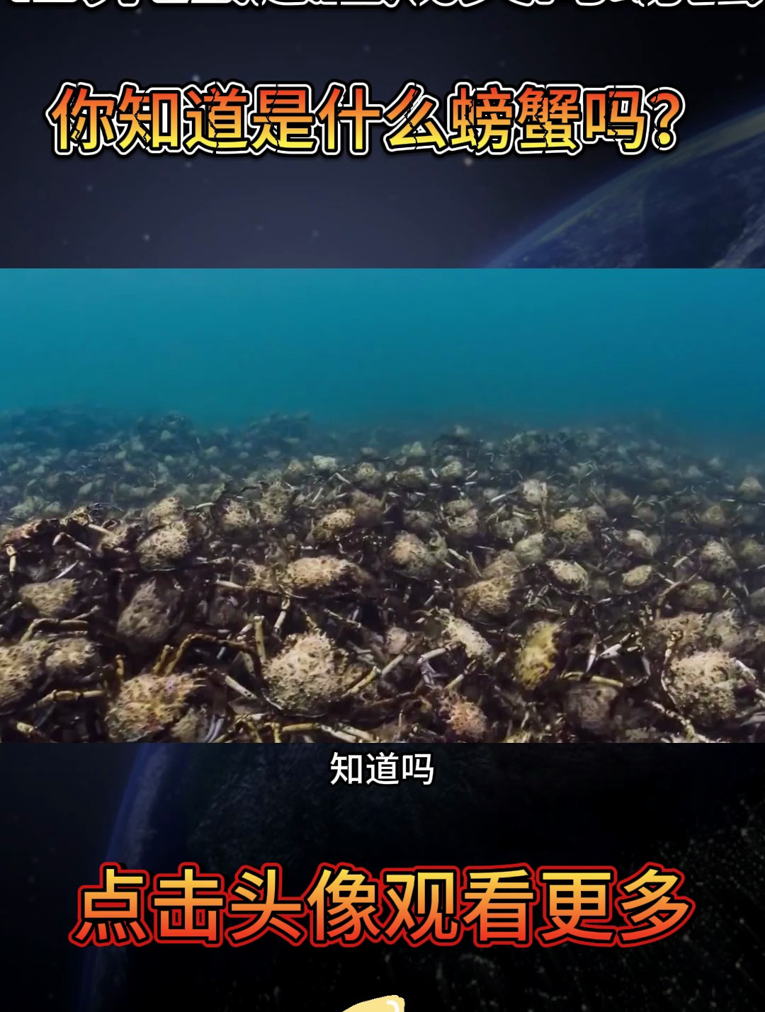 世界上泛滥成灾的螃蟹