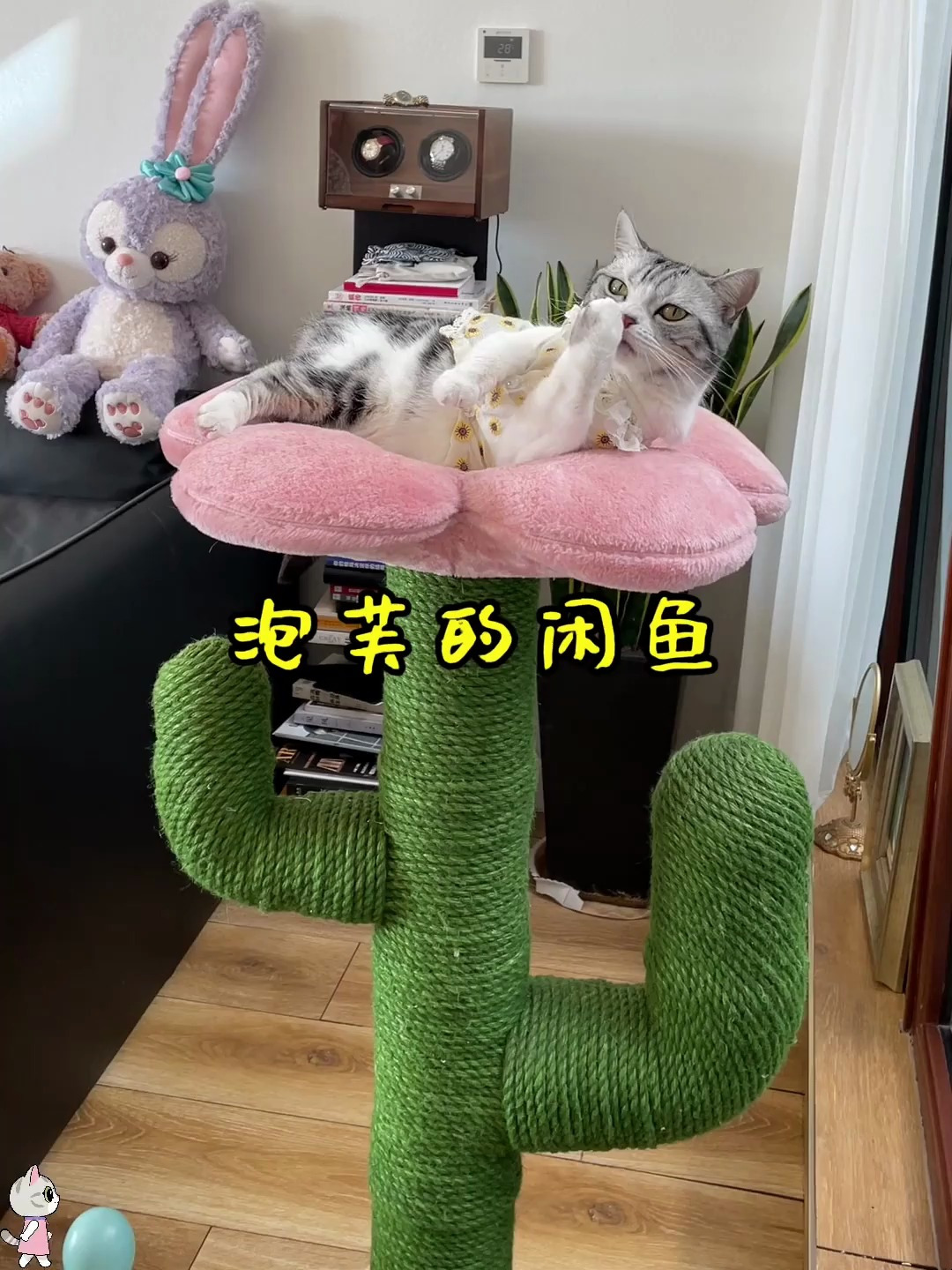 王泡芙的杂货铺上线了 有需要的铲屎官可以来瞅瞅哦