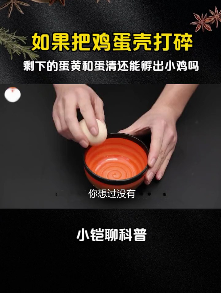 如果把鸡蛋壳打碎,剩下的蛋黄和蛋清还能孵出小鸡吗?