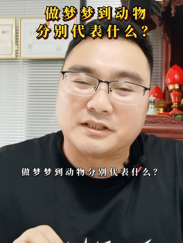 做梦梦到动物代表什么?梦境是虚实成梦,行结则成事,神结则成梦