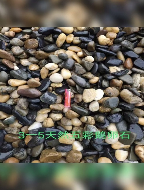 海口3-5厘米铺路鹅卵石 园林景观拼装铺路黄色鹅卵石
